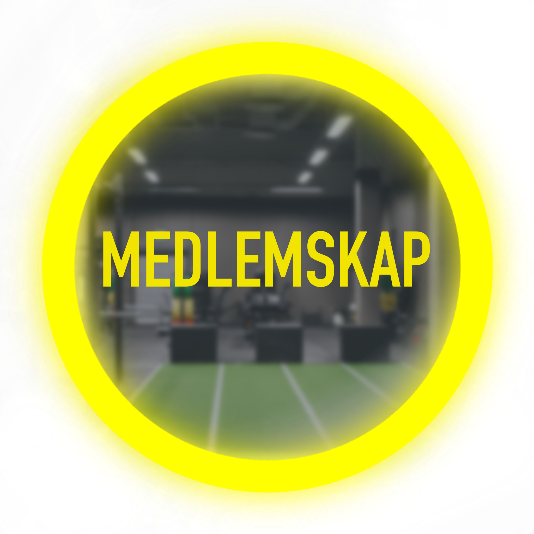 Medlemskap