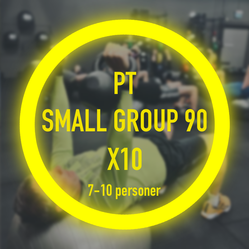 PT Small Group 90 - 7-10 pers x10